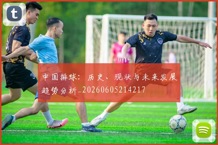 中国排球:历史、现状与未来发展趋势分析_20260605214217